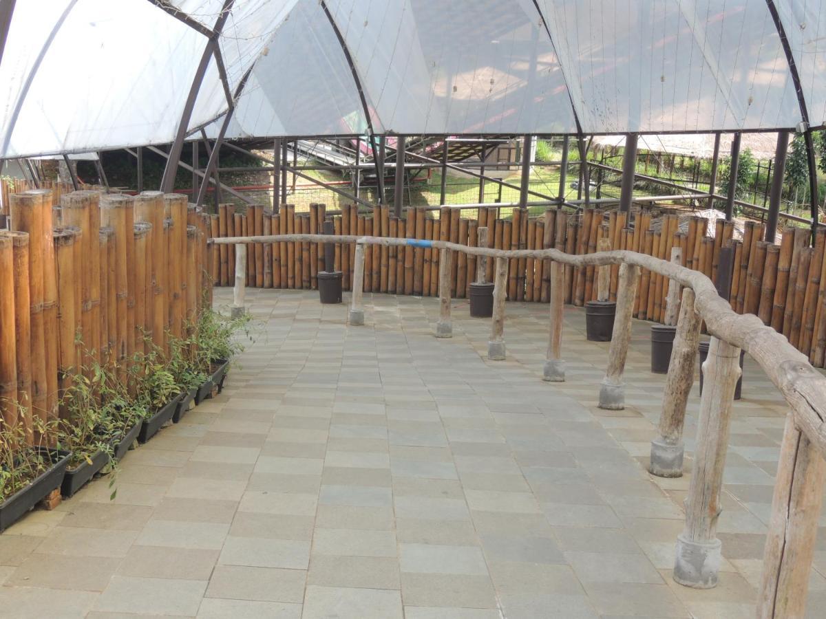 فندق Semilir Glamping سيمارانغ المظهر الخارجي الصورة